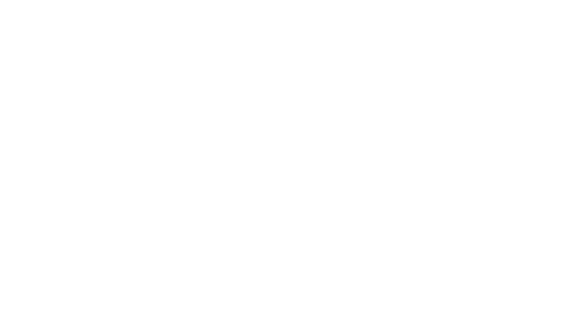 Midwest Dealer Solutions